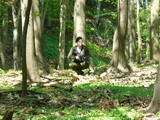 057.jpg (32.022 kB)