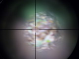 034.jpg (15.179 kB)