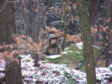 011.jpg (28.893 kB)