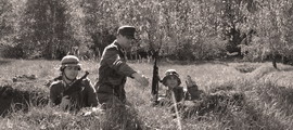 002.jpg (45.824 kB)