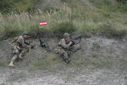 084.jpg (30.102 kB)