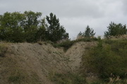 086.jpg (26.274 kB)