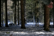 020.jpg (28.502 kB)