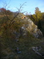 016.jpg (17.554 kB)